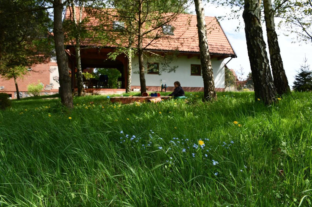 Charzykowska Chatka Charzykowy Extérieur photo
